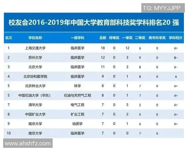 南京排球队杯赛战术分析与表现评估探讨