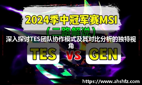 深入探讨TES团队协作模式及其对比分析的独特视角
