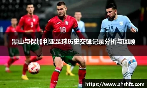乐鱼体育官网