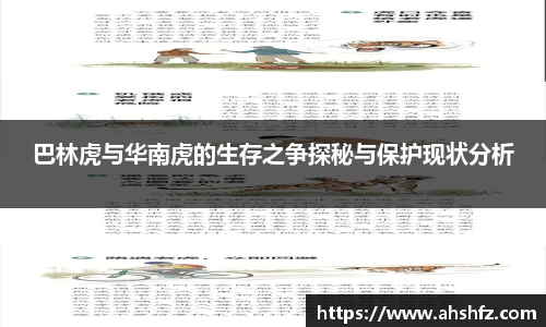 乐鱼体育APP